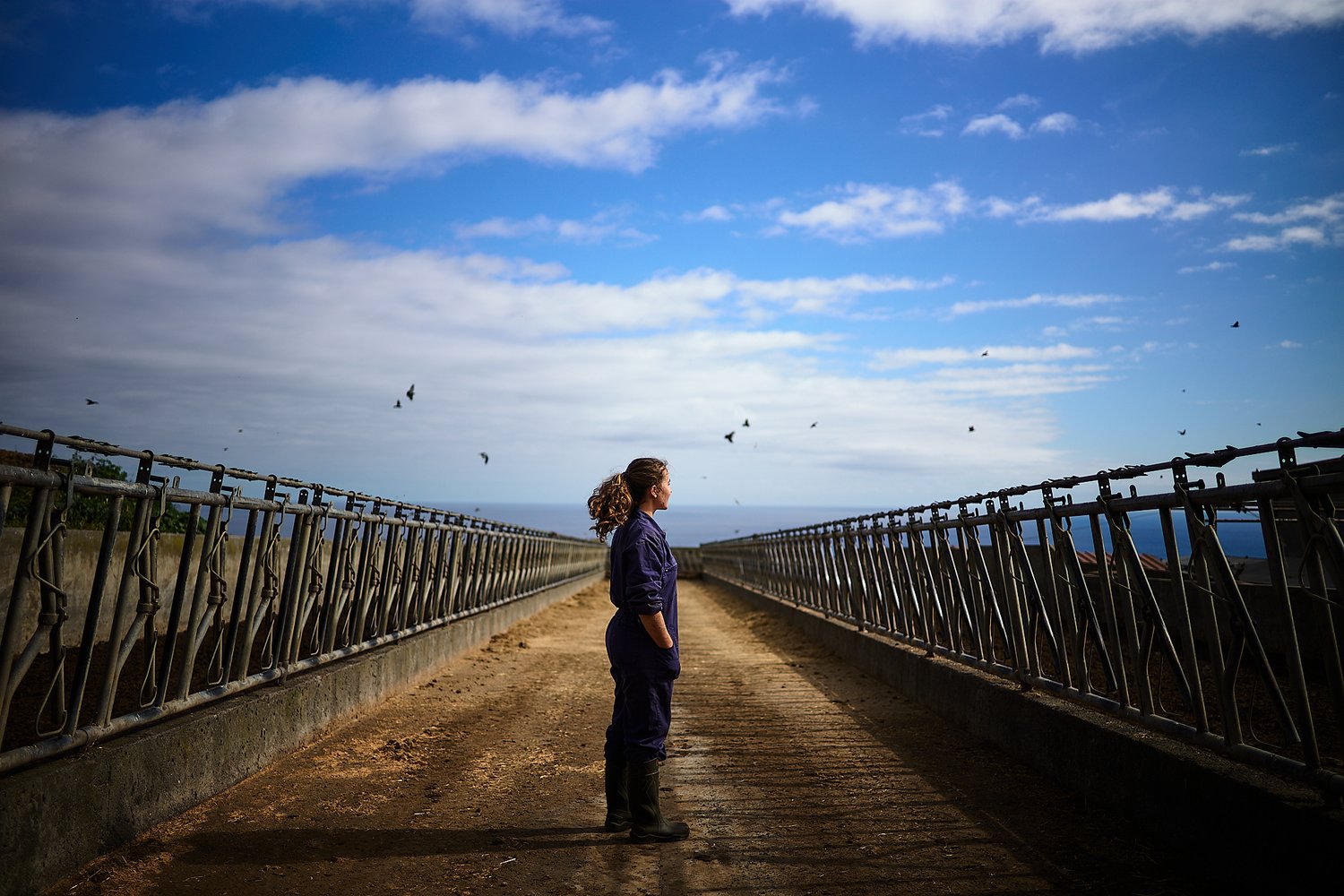 As Mulheres da Terra - Rui Caria - Trabalho documental 