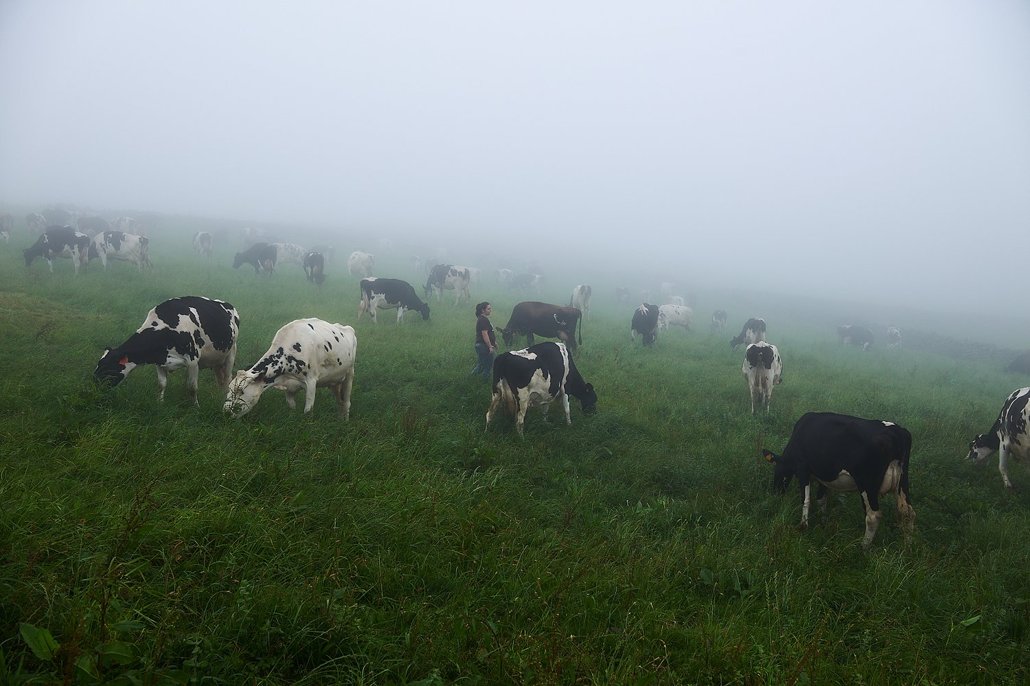 As Mulheres da Terra - Rui Caria - Trabalho documental 