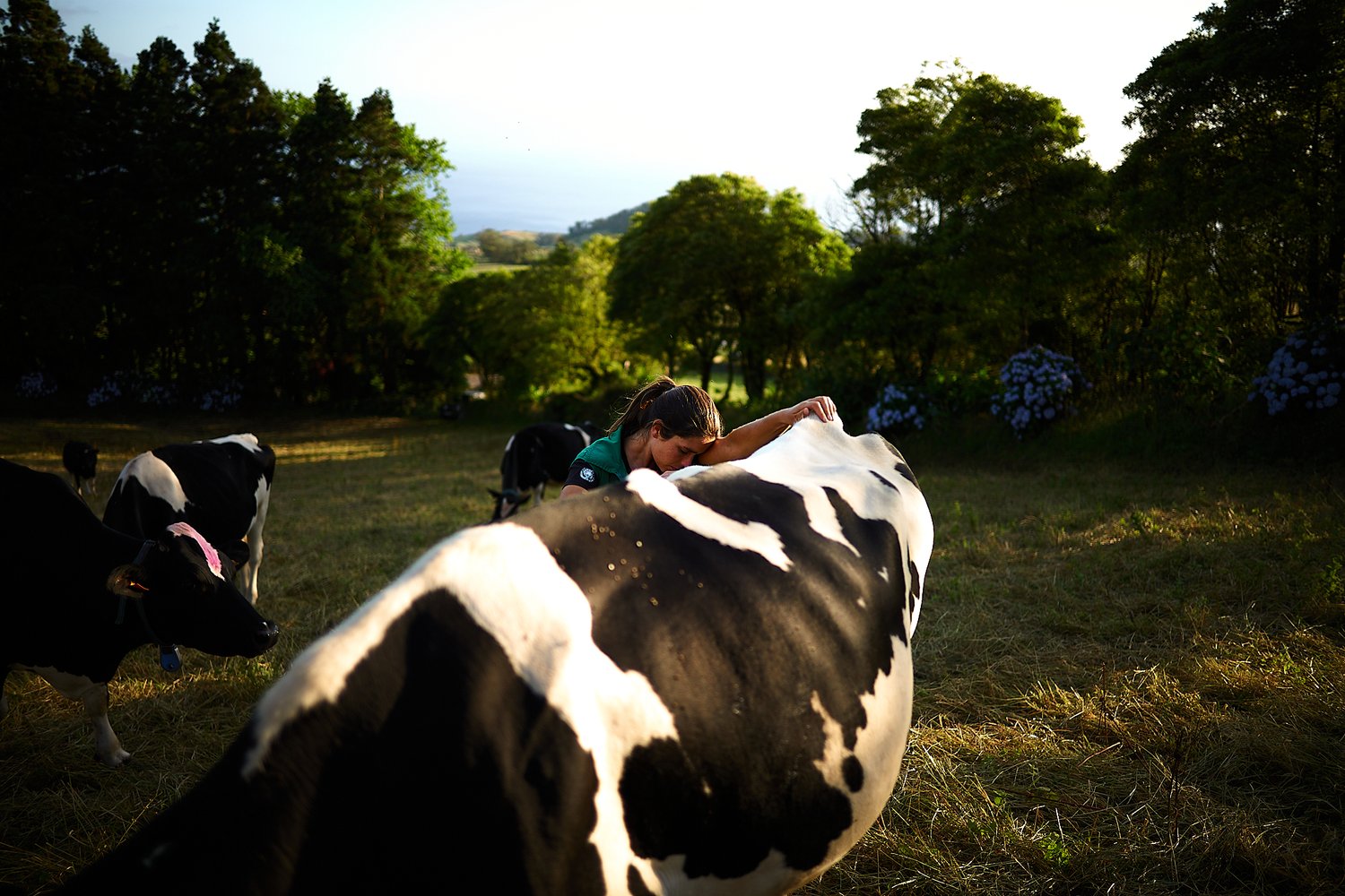 As Mulheres da Terra - Rui Caria - Trabalho documental 