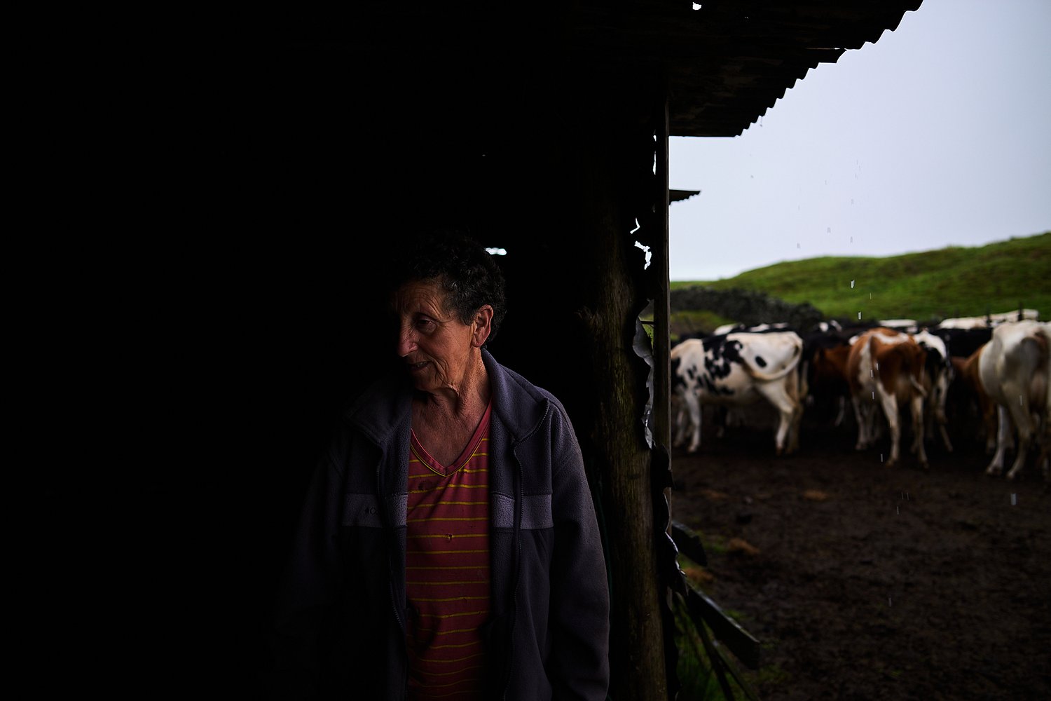 As Mulheres da Terra - Rui Caria - Trabalho documental 