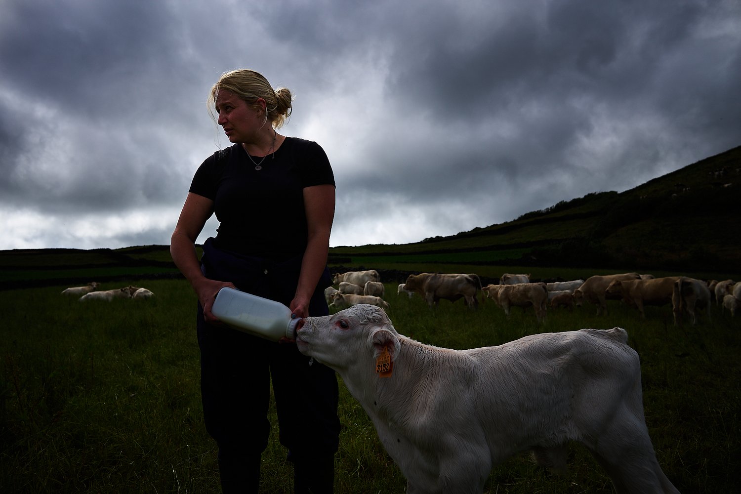 As Mulheres da Terra - Rui Caria - Trabalho documental 